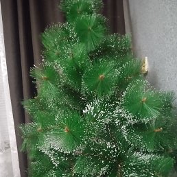 ������, �����������, 42 ����