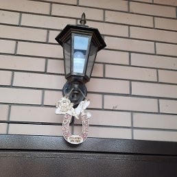 ����, ������, 69 ���