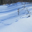 ���� ����, ������, 62 ���� - ��������� 23 ������� 2022 � ������ �������� 2022 �.�