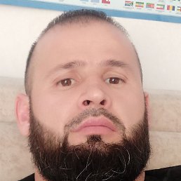 , , 31 