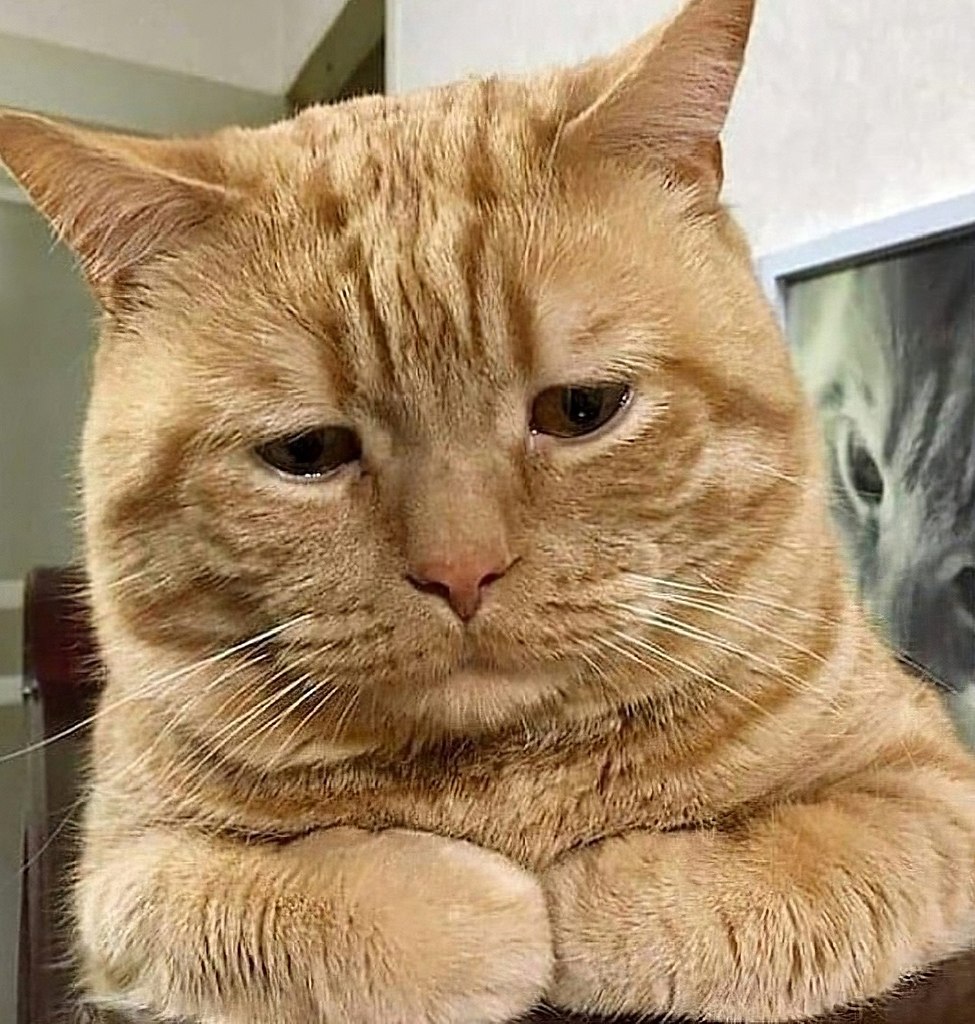   ,  : 