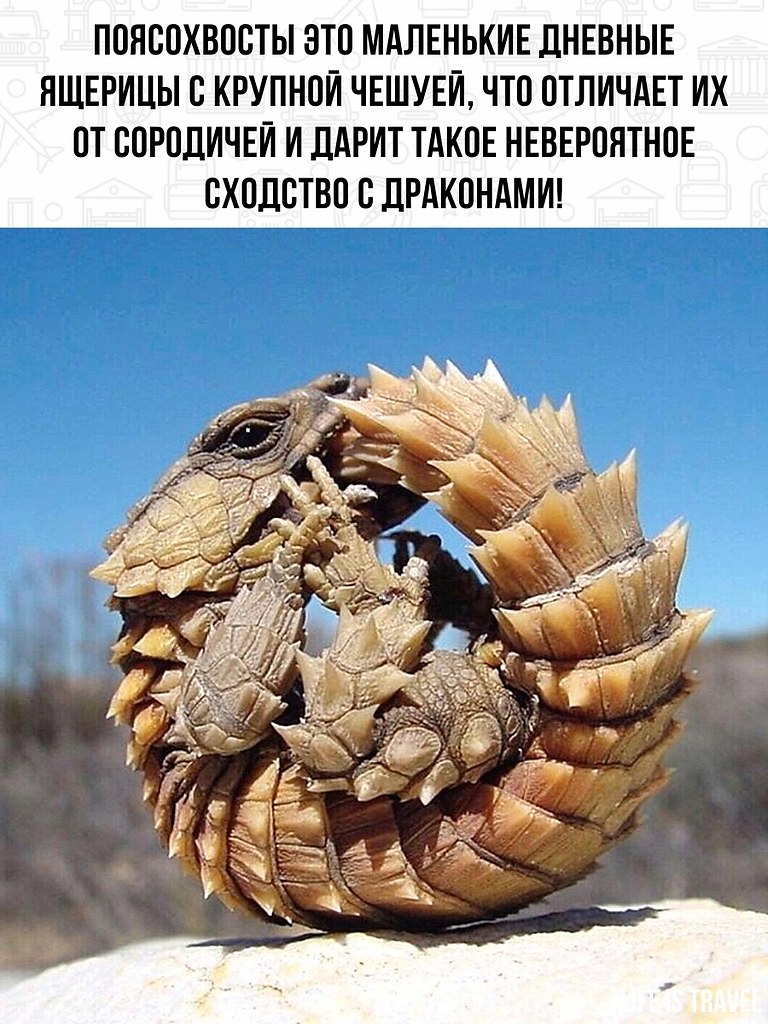      - 2