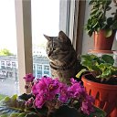 ���� ������, �����-���������, 51 ��� - ��������� 12 ������� 2022 � ������ ���� ����������