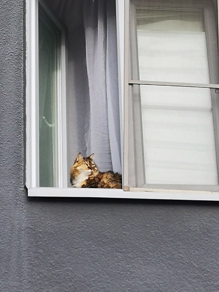  ...   )))