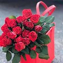 ���� �������, ���� - ��������� 9 ������ 2022 � ������ ���� ����������