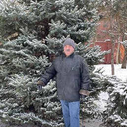 ���� ������, ���������, 64 ���� - ��������� 30 ������� 2022