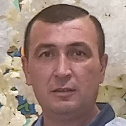 , , 49 