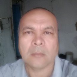 , , 44 