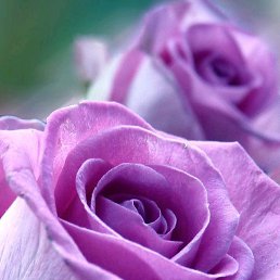 ��������, ������, 30 ���