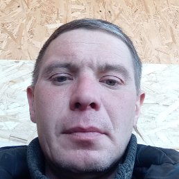 ����, ����������, 43 ����