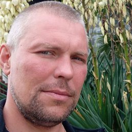 ����, ������������, 43 ����