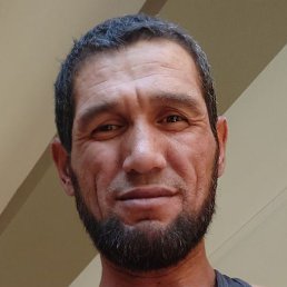 Qq, �����, 46 ���