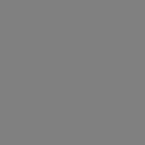    The Fungible  - Pak.  The Fungible ...