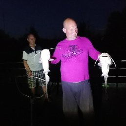 �������, ������, 51 ���