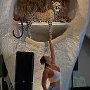 ���� ����, �����-���������, 45 ��� - ��������� 4 ������� 2022 � ������ ���� ����������