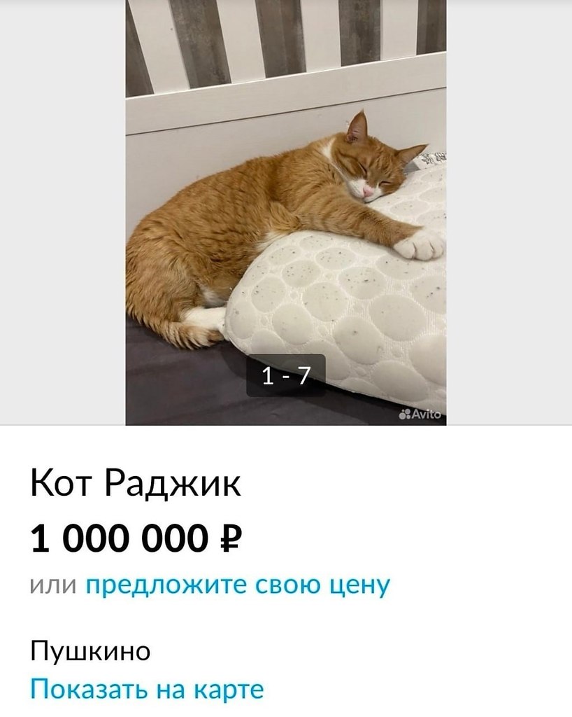     ,      ))