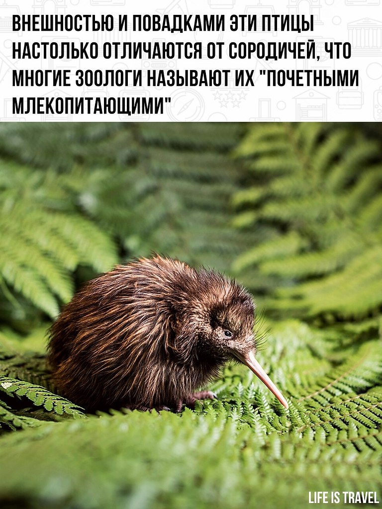  -   - 2