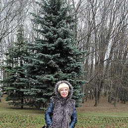 ���� �����, ������, 66 ��� - ��������� 2 ������ 2022