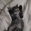 ���� �������, �����������, 46 ��� - ��������� 29 ������ 2022 � ������ ���� ����������