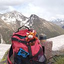 ������������ �� ������� ���� ����������