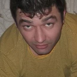 �����, ������, 41 ���