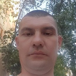 , , 41 