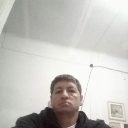  , , 49  -  13  2022
