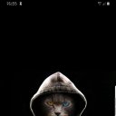 ���� ����, ������, 37 ��� - ��������� 13 ������� 2022