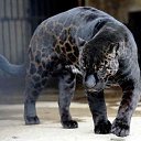 ���� �lex, ���� - ��������� 26 ������ 2022 � ������ ������ ��������