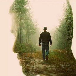 �������, ������, 55 ���