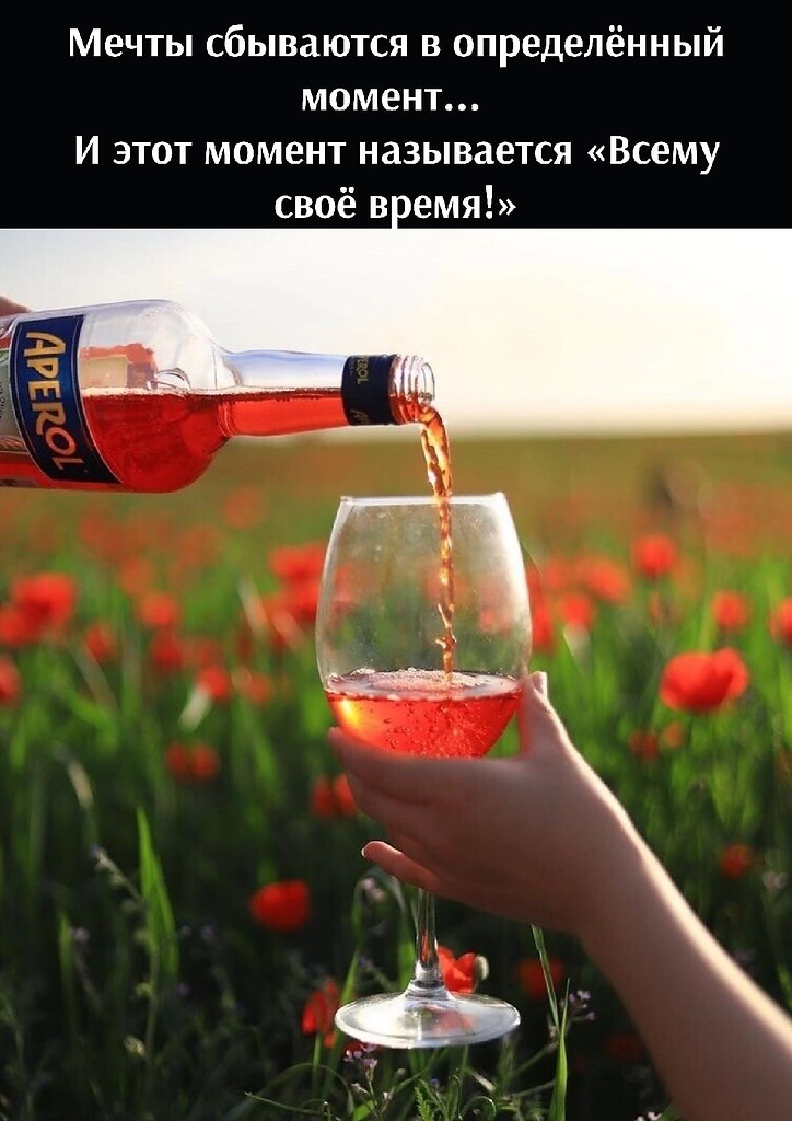   - 8  2022  17:40