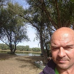 ���������, ���������, 43 ����