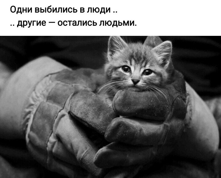 ***Victoria Viktorovna*** - 22  2022  05:59