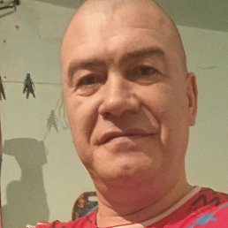 �����, ������, 43 ����