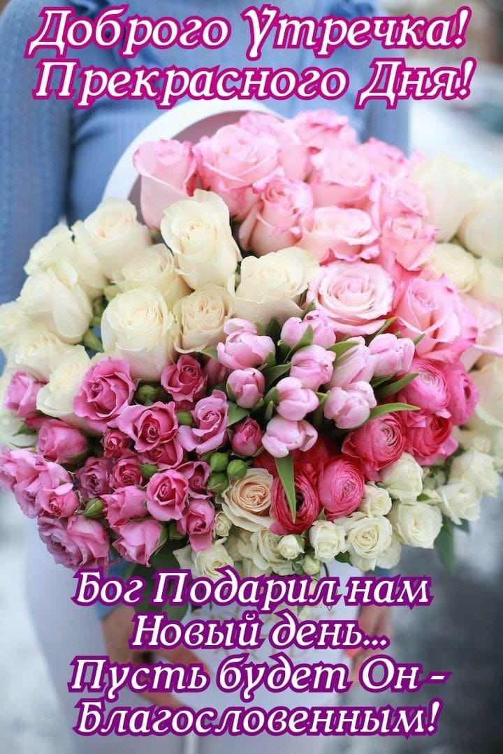 ***Victoria Viktorovna*** - 31  2022  04:09