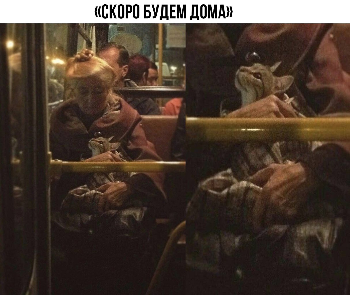    ! - 17  2022  08:03