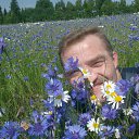 ���� **�������������*, �������� - ��������� 22 ������ 2022 � ������ ���� ����������