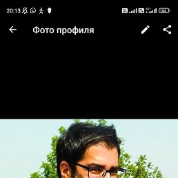 ���� ������, �����������, 41 ��� - ��������� 26 ���� 2022