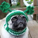 ���� ���, ������, 43 ���� - ��������� 29 ���� 2022 � ������ ���� ����������