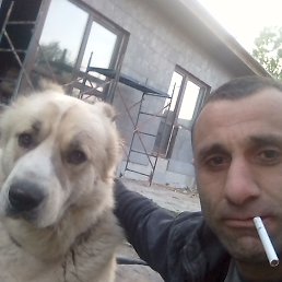 ���� ����, ������, 42 ���� - ��������� 3 ������� 2023