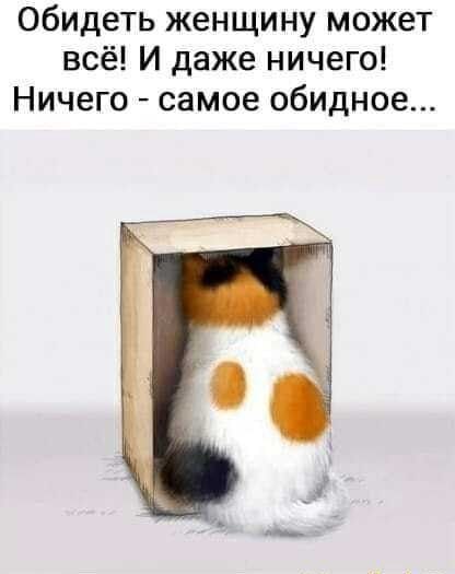  - 27  2022  10:15