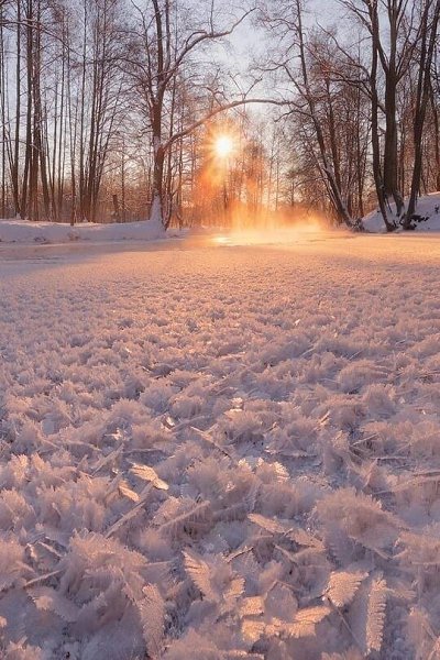 ������� ����� - 27 ������ 2022 � 06:50