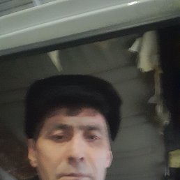 , 52 , 