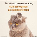 ���� ����, ����, 39 ��� - ��������� 22 ������� 2022 � ������ ������ ��������