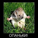 ���� Olga, ������ - ��������� 31 ������� 2022 � ������ ������ ��������