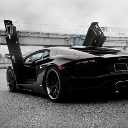 ������, �������, 24 ����