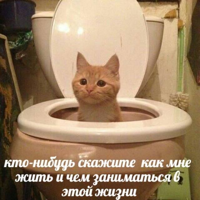 ��� �������� �������� - 25 ������� 2022 � 12:39