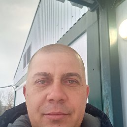 , 37, 