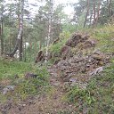  ***L***,   -  2  2022    Ż