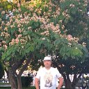 ���� �����, �����-���������, 60 ��� - ��������� 26 ���� 2022 � ������ ���� ����������